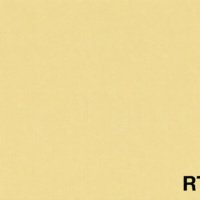 RTS-035